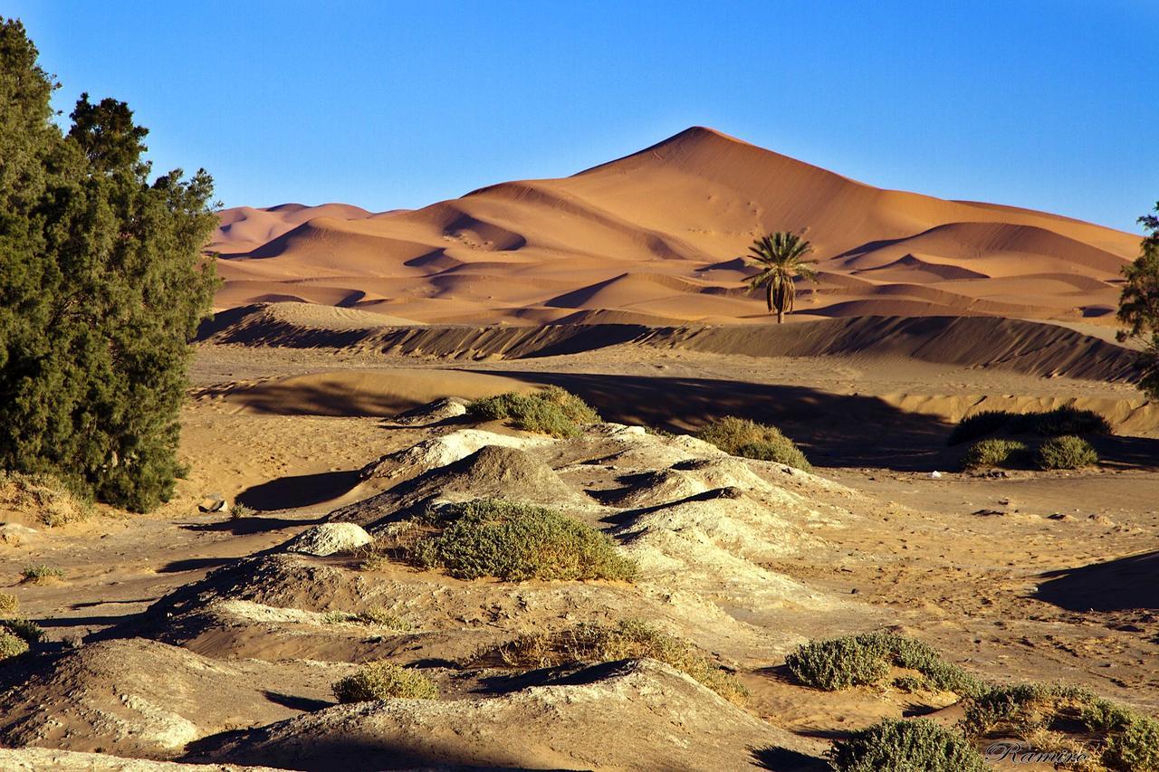 Riadsuerteloca Merzouga Hassilabied Экстерьер фото The Sahara Desert